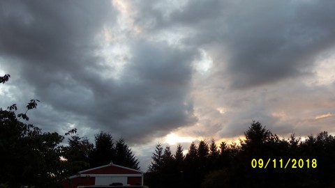 100_4698.JPG