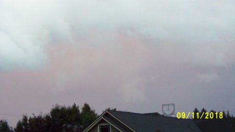 100_4701.JPG