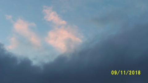 100_4703.JPG