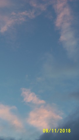 100_4704.JPG