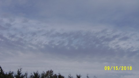 100_4729.JPG
