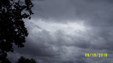 100_4746.JPG