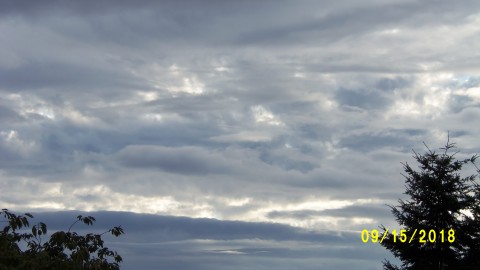 100_4747.JPG