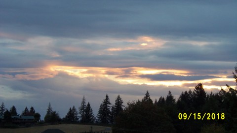 100_4750.JPG