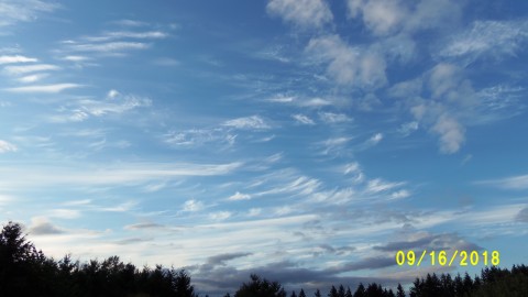 100_4755.JPG