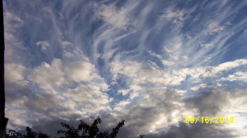 100_4756.JPG