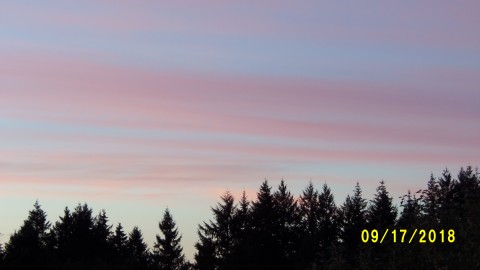 100_4760.JPG