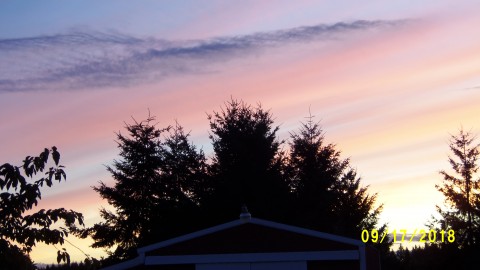 100_4761.JPG