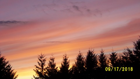 100_4762.JPG