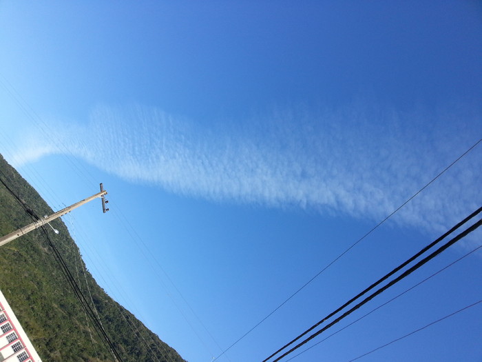 20130729_100154.jpg