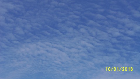 100_4795.JPG