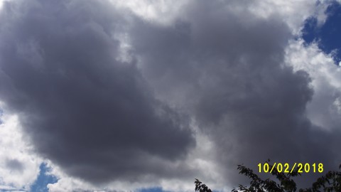 100_4811.JPG