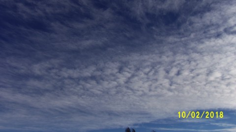 100_4819.JPG