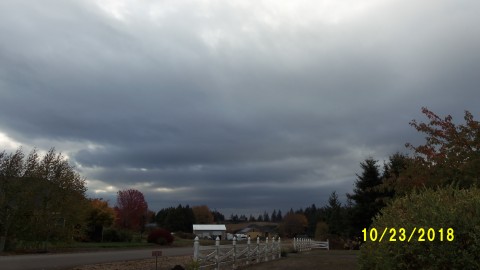 100_4883.JPG