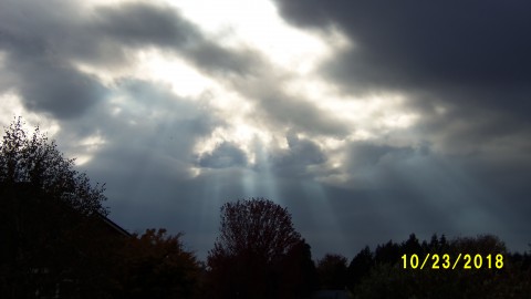 100_4889.JPG