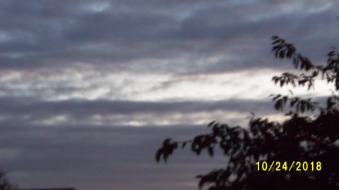 100_4896.JPG