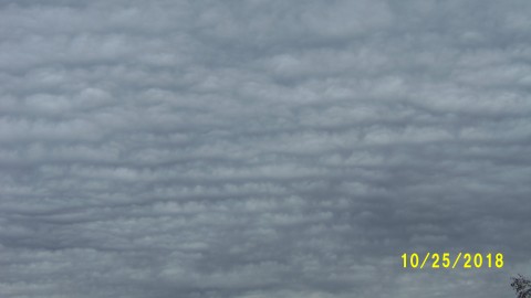 100_4899.JPG
