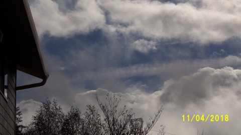100_4935.JPG