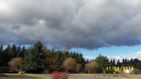 100_4936.JPG