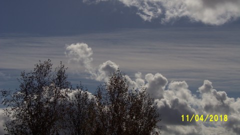 100_4938.JPG