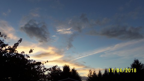 100_4945.JPG