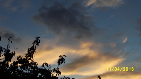 100_4949.JPG