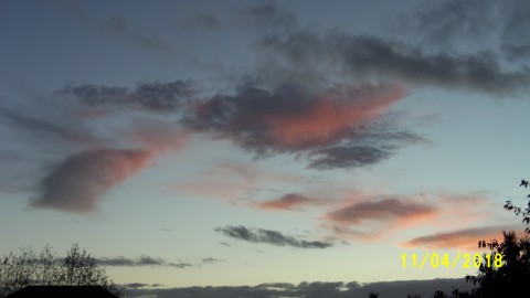 100_4950.JPG
