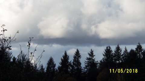 100_4953.JPG