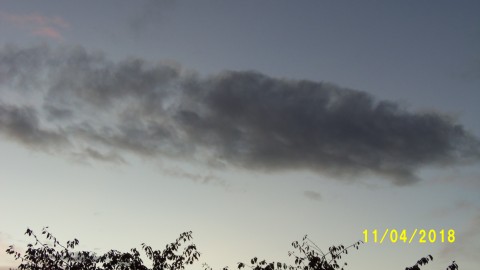 100_4951.JPG