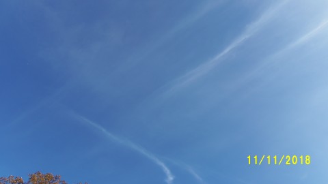 100_5004.JPG