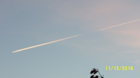 100_5014.JPG