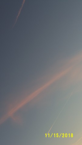 100_5016.JPG