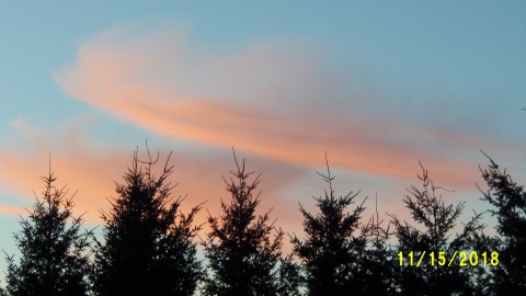 100_5017.JPG