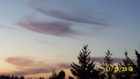 100_5022.JPG
