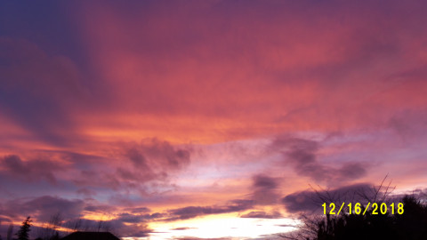 100_5181.JPG