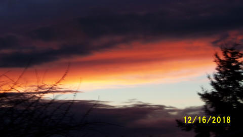100_5185.JPG