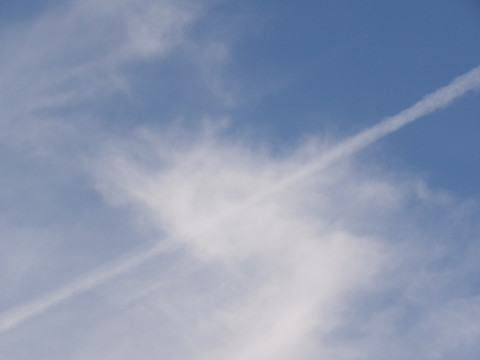 100_0299.JPG