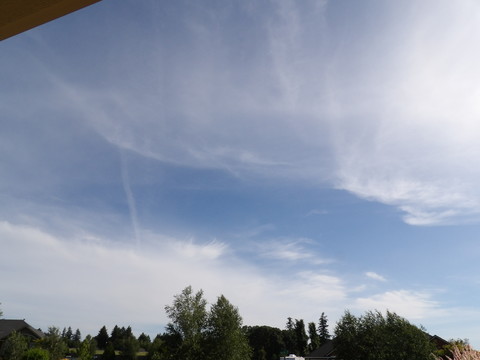 100_0054.JPG