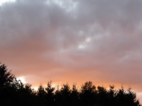 100_0096.JPG