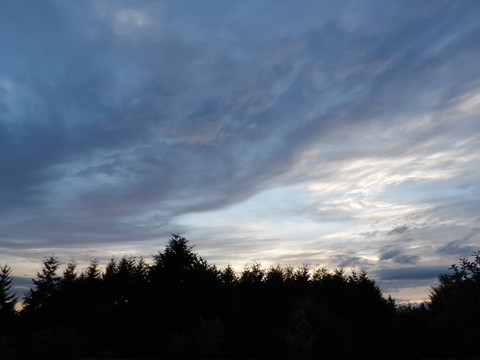 100_0758.JPG