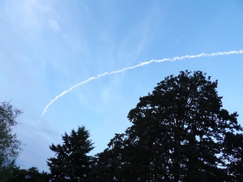 100_0759.JPG