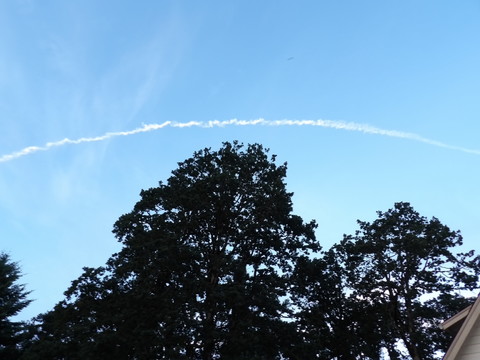 100_0760.JPG