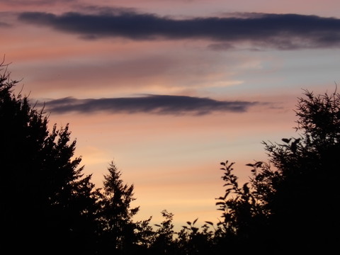 100_0750.JPG