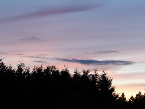 100_0752.JPG