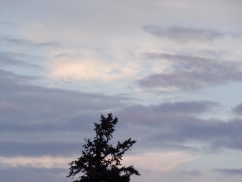 100_0766.JPG