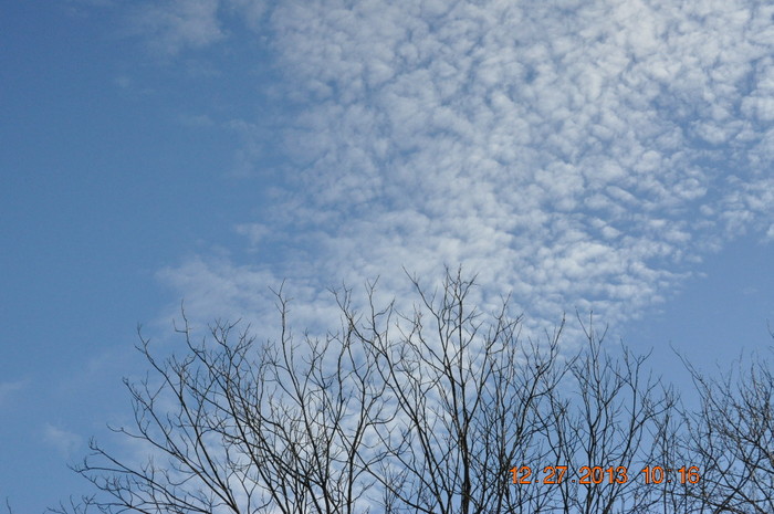 Trails_135.jpg