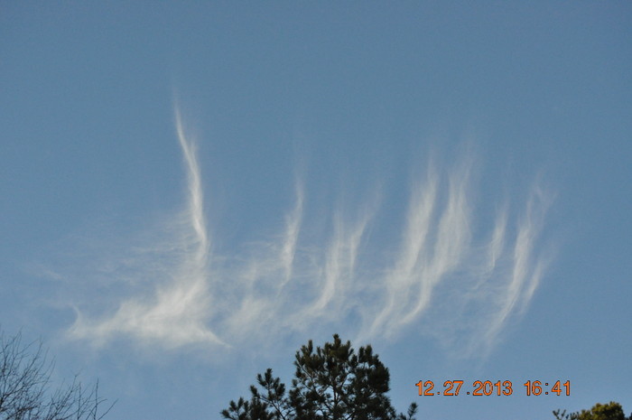 Trails_175.jpg