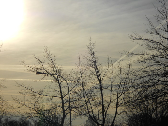 DSCN0110.JPG