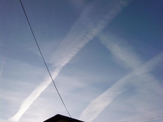 dsc00215.jpg