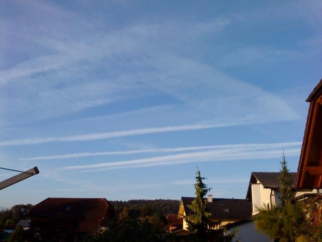 dsc00217.jpg